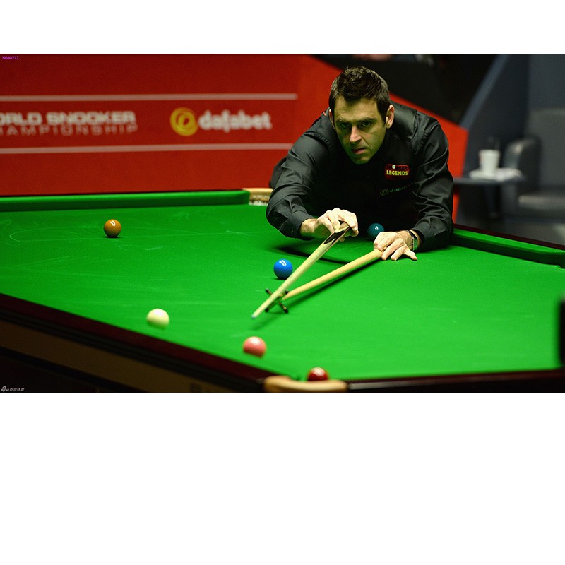 内体育节目 内体育节目